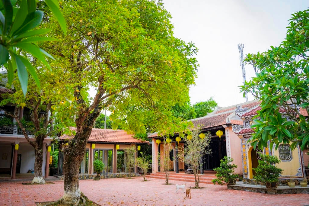 Experience Vietnam’s heritage with business visa-prepared tours